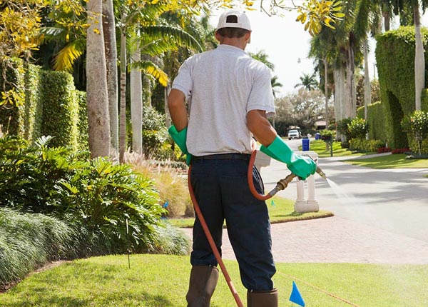 About West Creek NJ Pest Control Pros